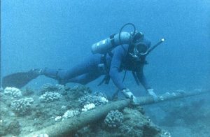 Diver Checking Underwater Protection of Cable - <a href="https://commons.wikimedia.org/wiki/File:Diver_Checking_Underwater_Protection_of_Cable_-_Flickr_-_The_Official_CTBTO_Photostream.jpg">Wikimedia Commons</a> 