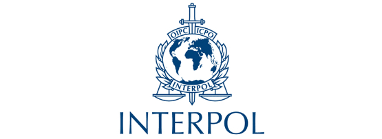 Intpol Event Wrap: INTERPOL Global Cybercrime Expert Group 2015 | APNIC Blog