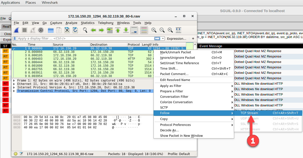 Who is WHOIS Wireshark 02 Display Filter whois