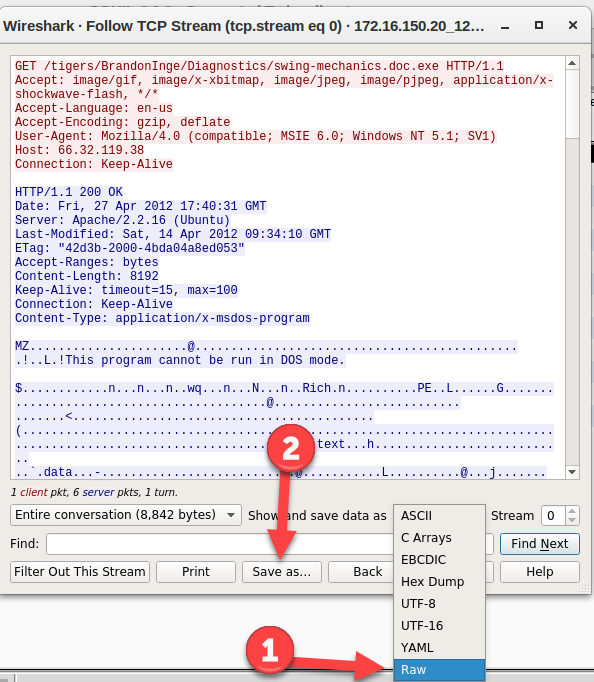 wireshark packet capture file format