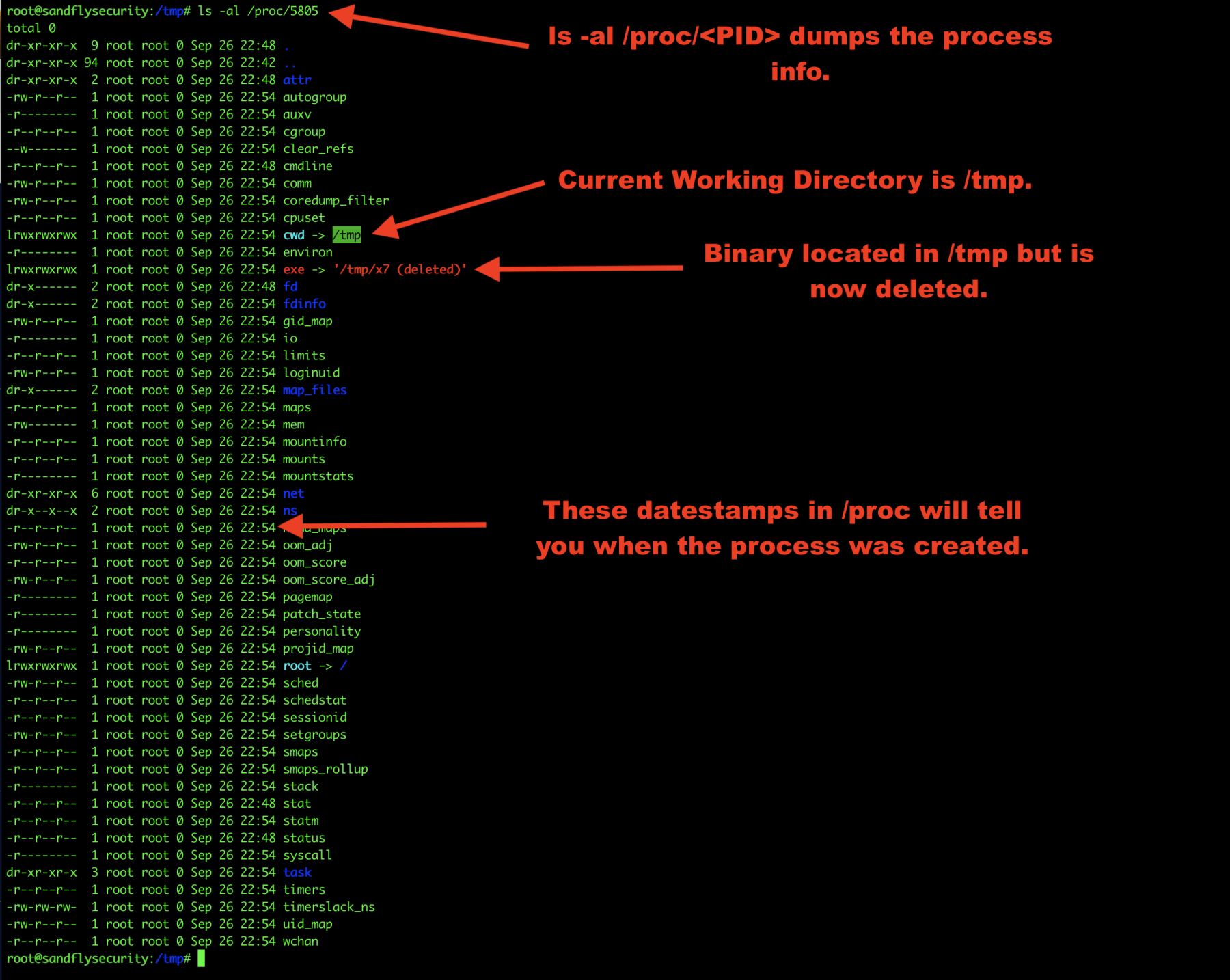 Linux вывести список файлов