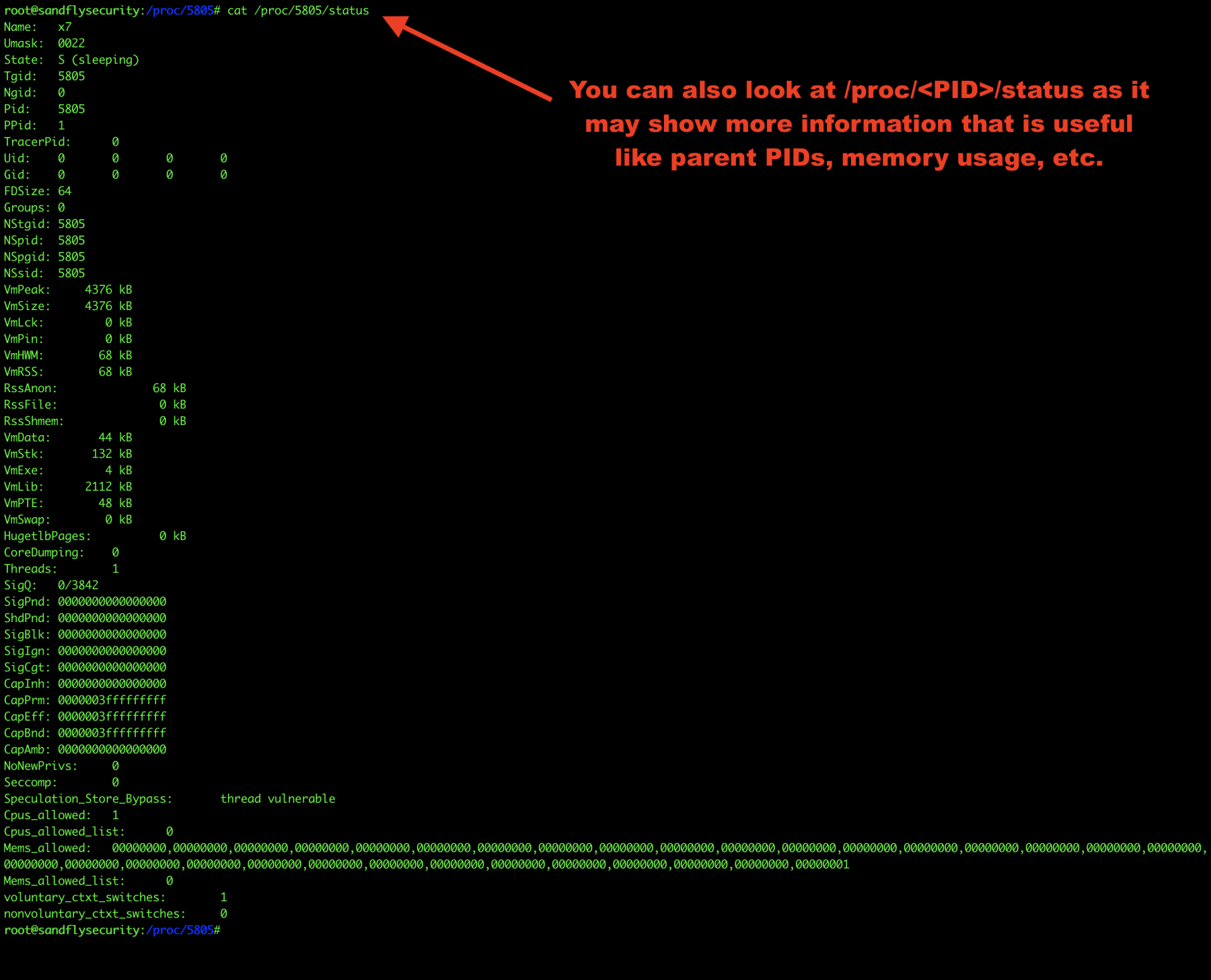 process monitor command line malware