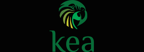 Advanced Kea DHCP features