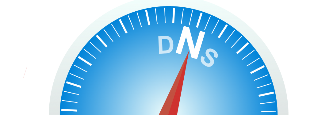 Where is the DNS heading?