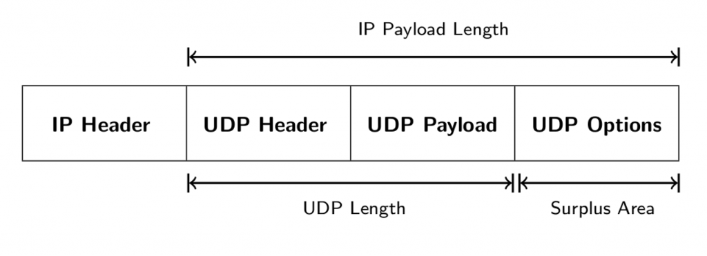 Diagram showing UDP Options in IP Payload.
