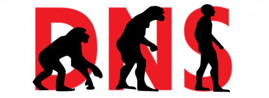 DNS evolution banner