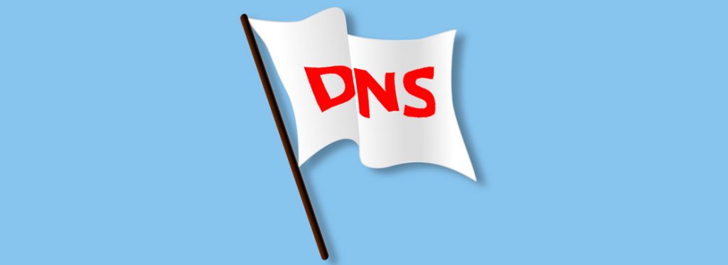 DNS Flag
