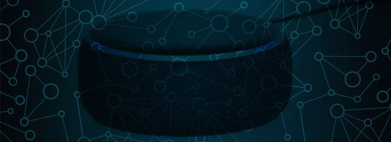 Echo device in network