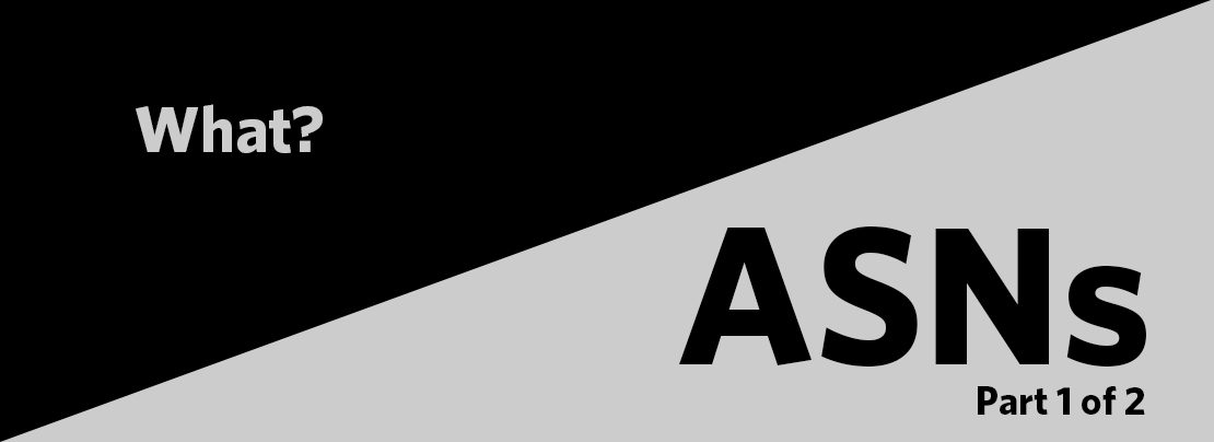 What, exactly, are ASNs? | APNIC Blog