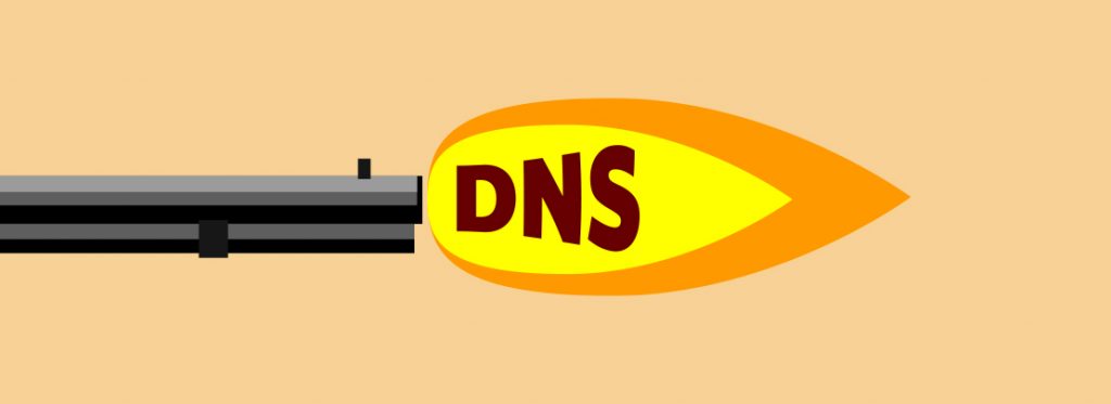 Introducing DNS Shotgun