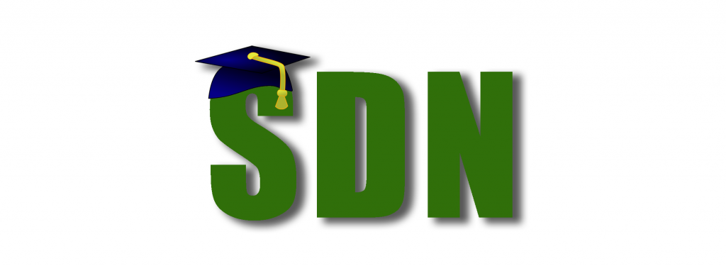 What basics do you need to know for SDN?