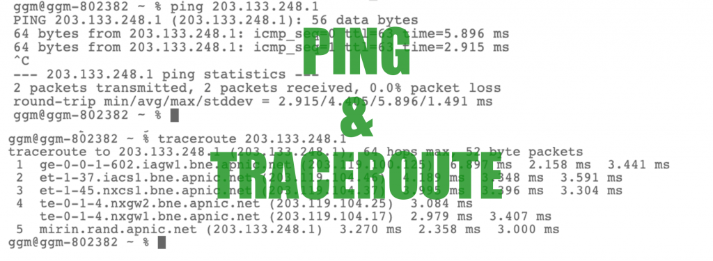 Ping and traceroute header 2