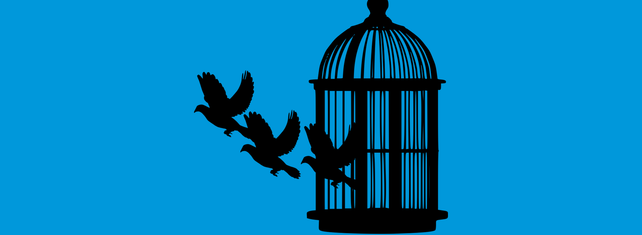 Twitter bird cage hi-res stock photography and images - Alamy, image size:2220x812