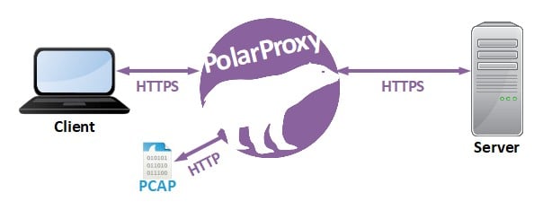 Figure 2 — PolarProxy removes all TLS data before saving the decrypted traffic to a capture file.