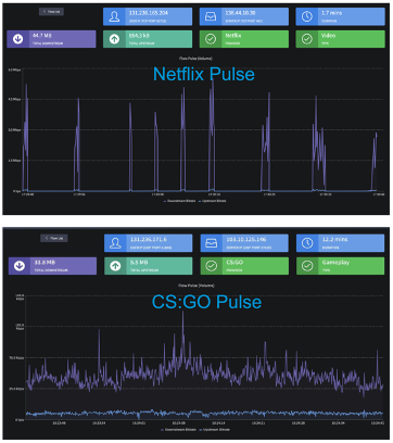 Application pulse profiles for Netflix and Counter-Strike: Global Offensive.