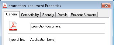Screenshot of the malicious file's details.