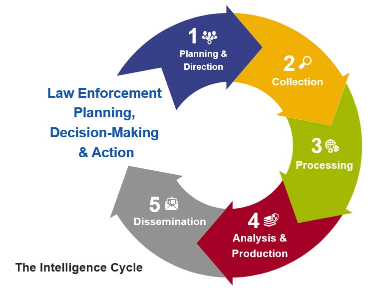 Infographic of the five steps in the intelligence cycle.
