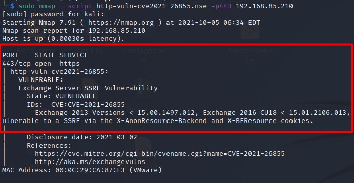 Screenshot of vulnerability detection for ProxyLogon.