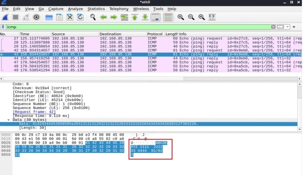 Screenshot of ICMP data exfiltration packet capture.