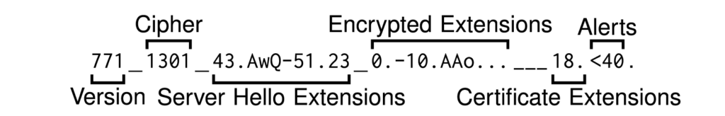 Equation of example fingerprint from a single TLS 1.3 handshake.