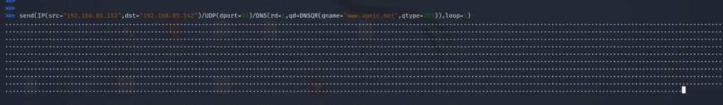 Terminal screenshot showing the attacker’s machine generating a DNS amplification attack.