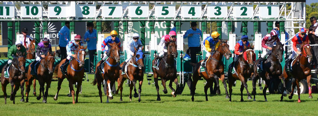 Horse racing_banner