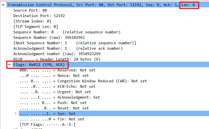 Terminal screenshot showing TCP three-way handshake SYN+ACK packet.