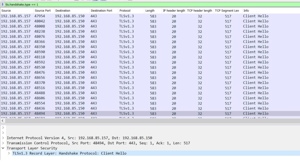 Wireshark screenshot showing an example of an HTTPS flood attack.
