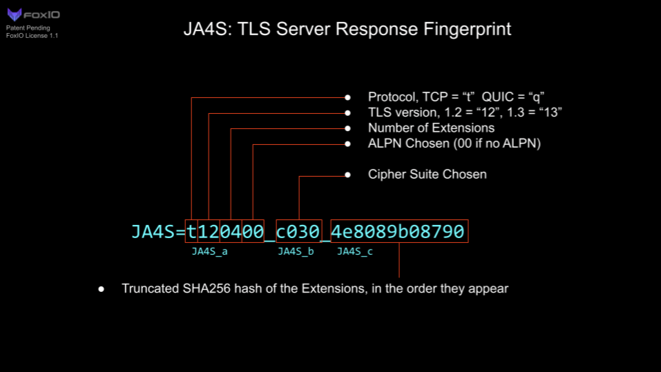 Figure 3 — TLS server response fingerprint.