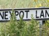 Honeypot Lane road sign from Hoo, on the Suffolk Coast in the UK