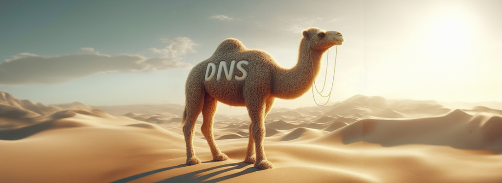 DNS_camel_dt