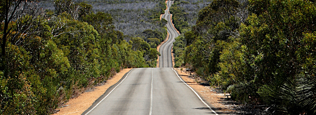 Pointless Path Crafting endless AS-PATHS in BGP | APNIC Blog