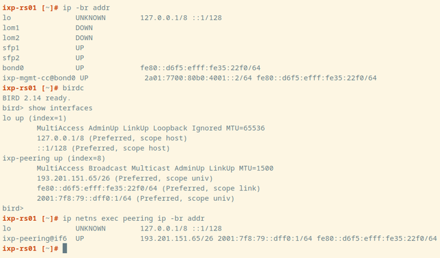 Figure 4 — Screenshot of an SSH session showing usage of birdc with netns.