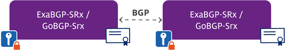 Figure 2 — Setup to run ExaBGP-SRx or GoBGP-SRx in our testbed.