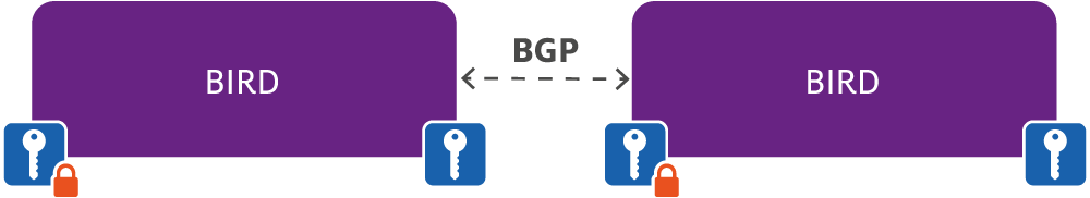Schematic representation of a BIRD setup in the SIDN Labs BGPsec testbed. Figure 4 — BIRD setup in our testbed.