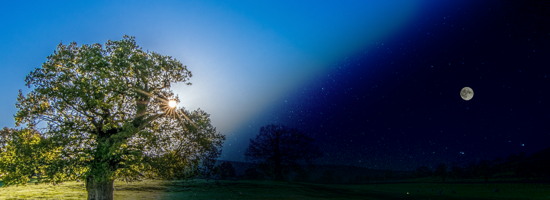 Banner image for A day in the life of BGP article.