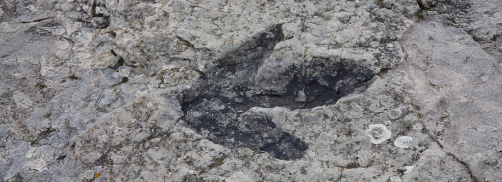 dinosaur-footprint_ft