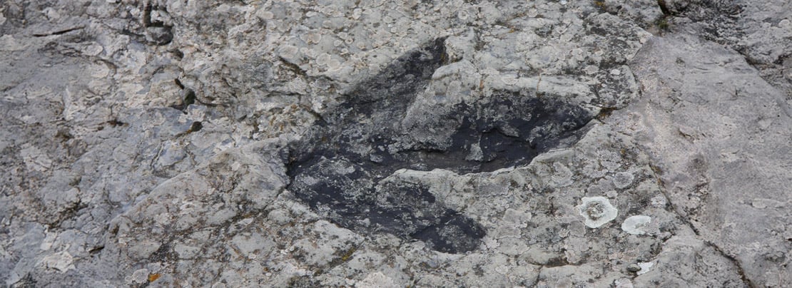 Banner image for Is ‘Postel’s law’ causing protocol ‘ossification’? article.