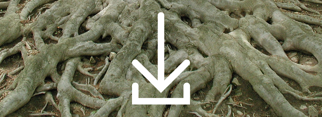 Banner image for [Podcast] Downloading the root article.