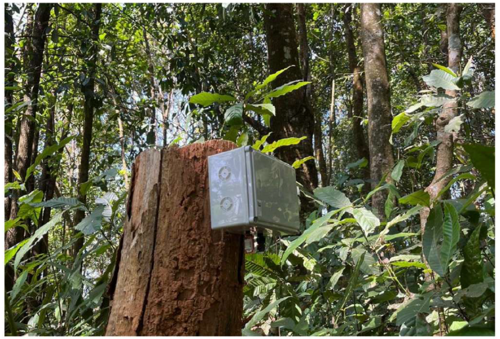 Figure 2 — A FireFly Ground Module monitoring PM2.5 and temperature in Ban Mae Sa Mai.