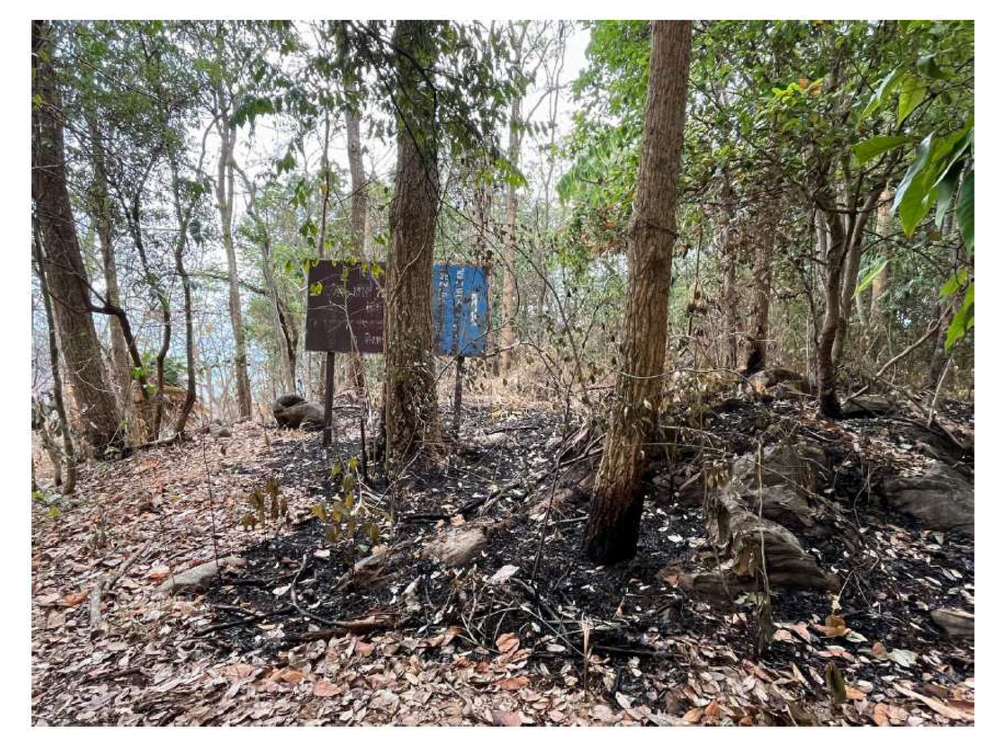 Figure 5 — Evidence of fire on 8 May 2024.