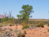 A picture of Uluru in Northern Territory, Australia.