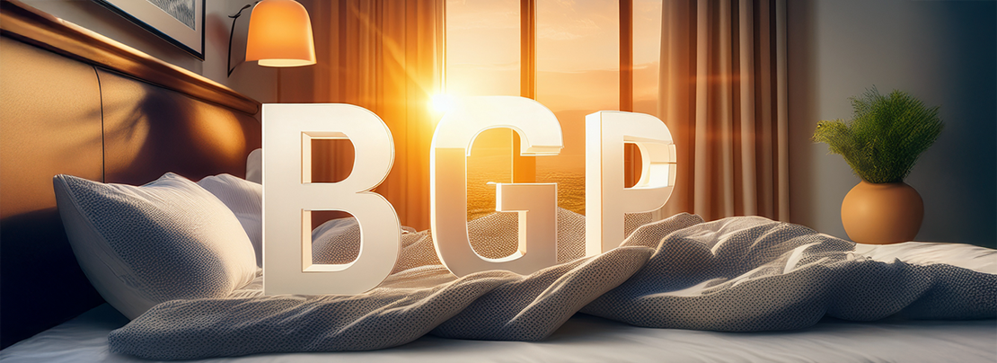 Banner image for [Podcast] A day in the life of BGP article.