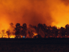 A picture of a forest fire.