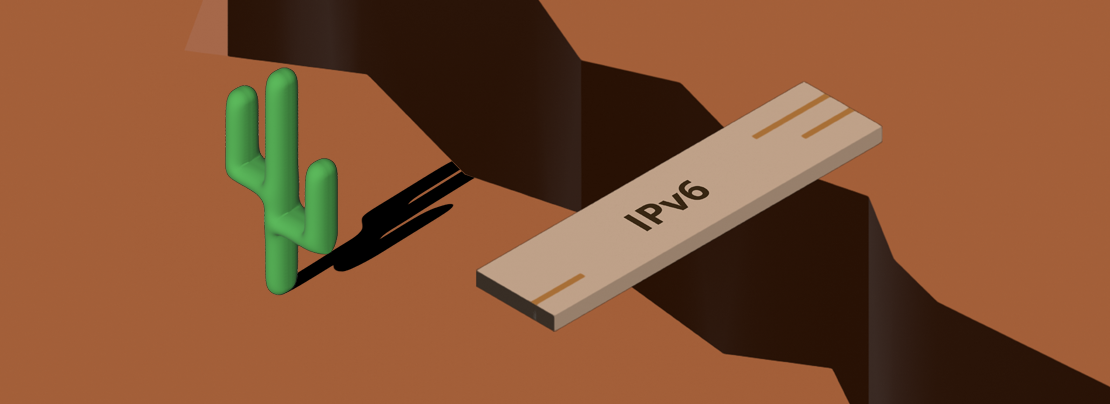 Banner image for The IPv6 divide article.