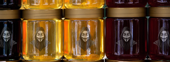 Hackers trapped in honeypots.