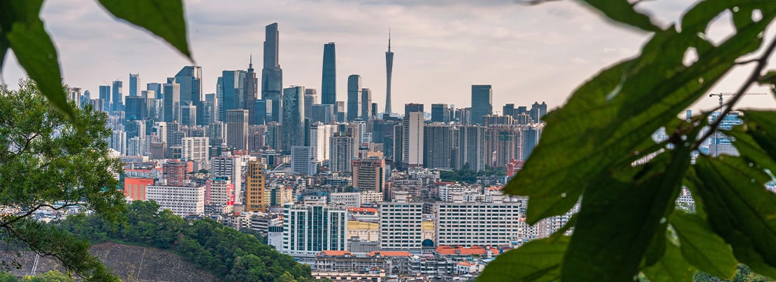 Banner image for Advancing digital connectivity and innovation in China  article.