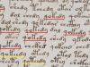 The 15th Century Voynich Manuscript with repeated words highlighted